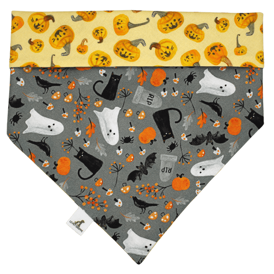 ''Jack-o'-lantern'' bandana