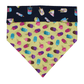 ''Popsicles'' bandana