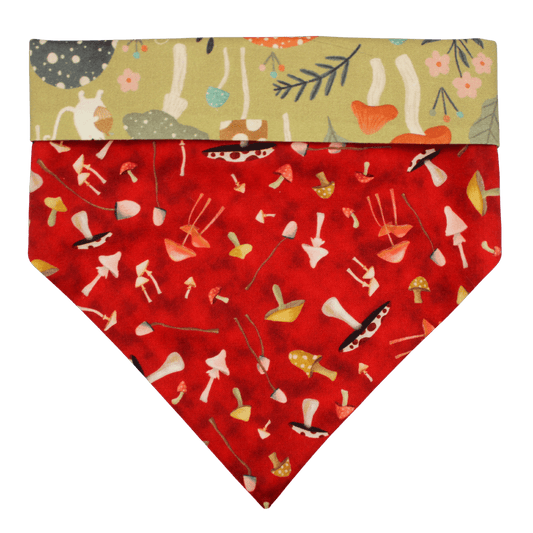 Bandana « Shiitake »