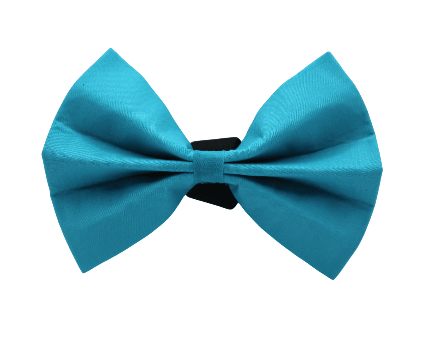 "Aqua" bow tie