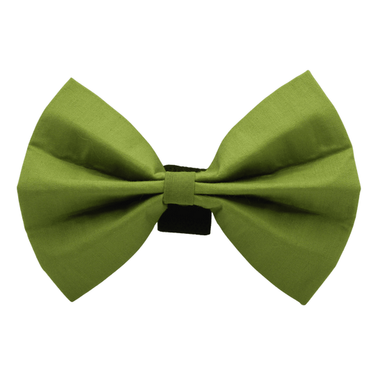 "Khaki" bow tie